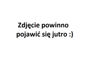 Smartfonowy rok 2019 wywróżony z fusów