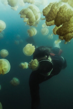 Fotograf, który odważył się pływać wśród setek meduz